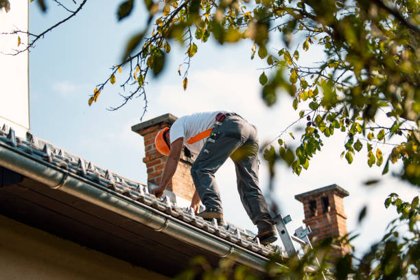 Best Storm Damage Roof Repair  in Island Lake, IL