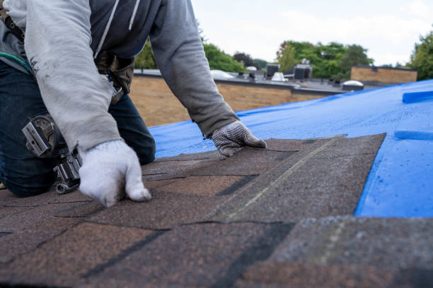 Best Commercial Roofing Services  in Island Lake, IL