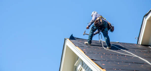 Best Local Roofing Companies  in Island Lake, IL